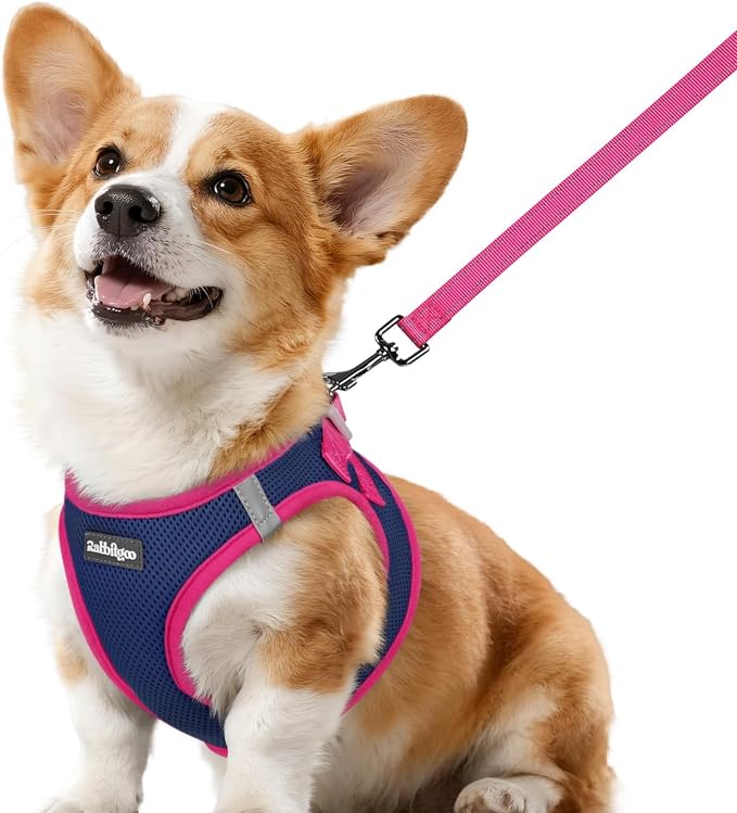 rabbitgoo Dog Harness Small Sized and Leash Set, Step in Soft Vest | Breathable Mesh, Easy Wear with Hook & Loop, Light and Reflective for Walking, Multi-colored, Navy Blue & Rose Red, L