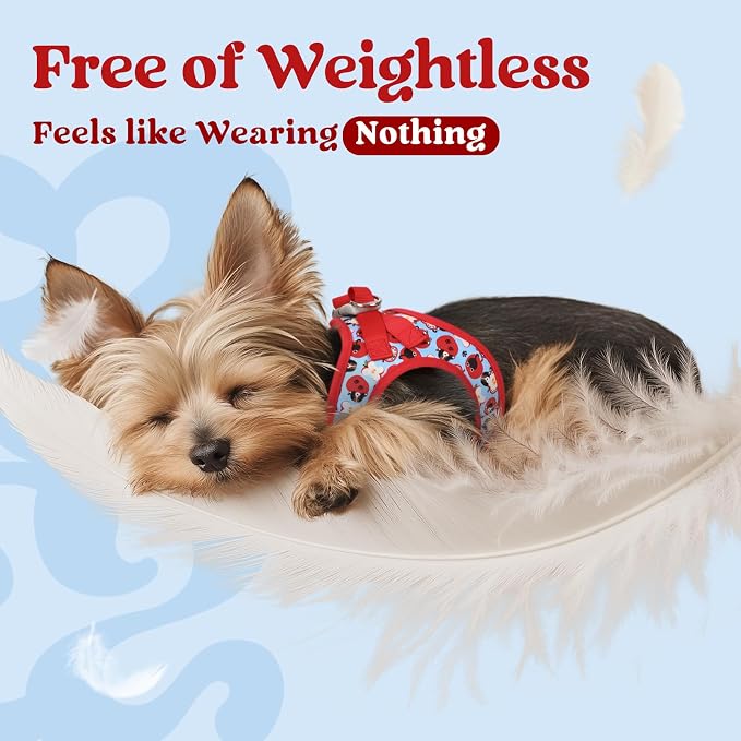 rabbitgoo Step-in Small Dog Harness, Puppy Vest for Small Sized Pet | Easy Put on and off, Lightweight, Soft, Breathable Quick-Dry Air Mesh for Comfortable Secure Walking, Apple Pups XS