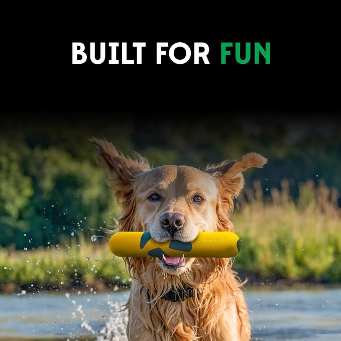Goughnuts Medium Water Stick, Floating Dog Toy, 30-70 lbs
