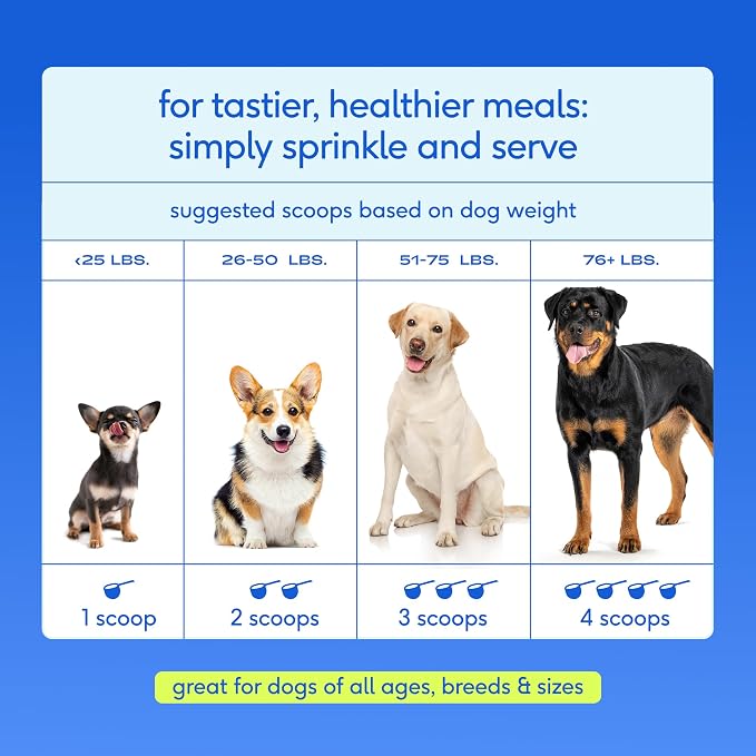 Native Pet Hip and Joint Supplement Dogs - Powder with UC-II Collagen and HMB - Senior and Large Breed Dog Joint Support - Made in USA - 60 Scoops