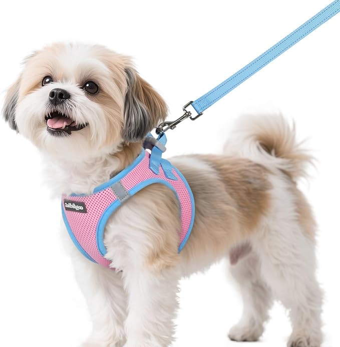 rabbitgoo Dog Harness Small Sized and Leash Set, Step in Soft Vest | Breathable Mesh, Easy Wear with Hook & Loop, Light and Reflective for Walking, Multi-colored, Pink & Blue, S