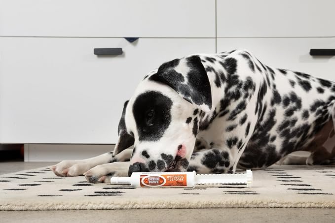 Immediate Response for Dogs & Cats, Probiotic Paste, 30ml