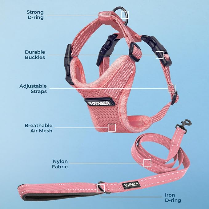 Best Pet Supplies Voyager Step-in Lock Pet Harness w Reflective Pet Leash Combo Set with Neoprene Handle 5ft - Supports Small, Medium and Large Breed Puppies/Cats - Pink, M