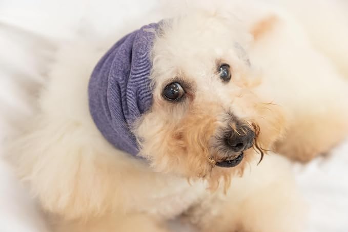 Dogs Ear Wrap, Anxiety Relief - Purple M