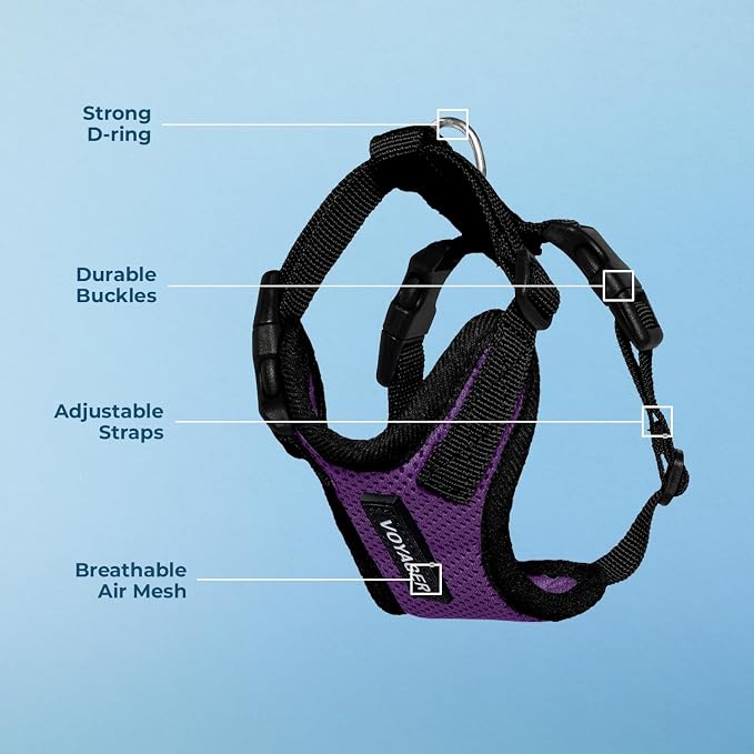 Voyager Step-in Lock Dog Harness - Purple/Black Trim, Medium | 17 - 21" in Chest, Adjustable, Breathable Air Mesh, Lightweight for Daily Walks, Strong Clips, Heavy Duty D-Ring