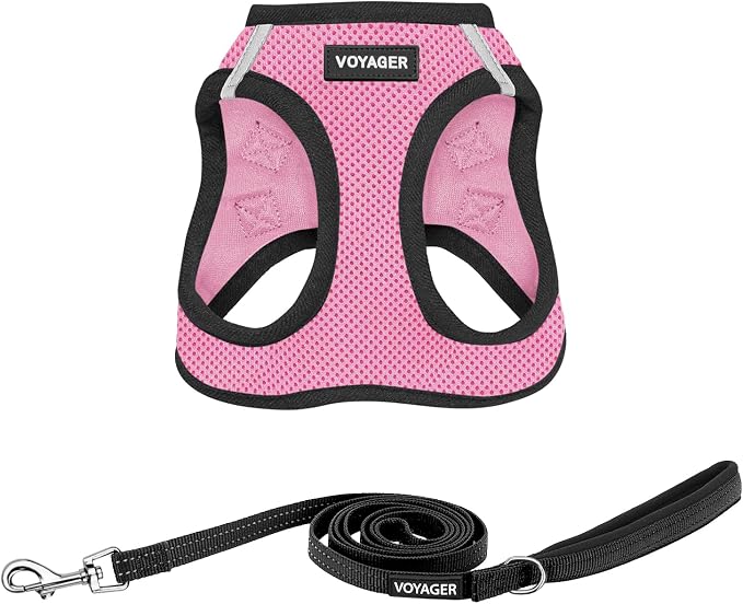Best Pet Supplies Voyager Step-in Air All Weather Mesh Harness and Reflective Dog 5ft Leash Combo with Neoprene Handle, for Small, Medium and Large Breed Puppies - Pink Base, Large