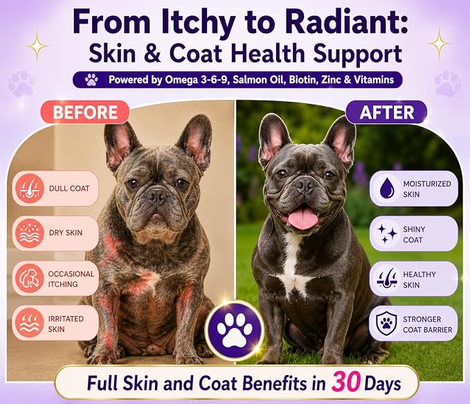 Skin & Coat Salmon Oil Soft Chews for Dogs - Omega 3, Biotin, Zinc & Vitamin E - Supports Healthy Skin, Shiny Coat, Itch Relief & Allergy Support - Natural Salmon Flavor 180+Chews