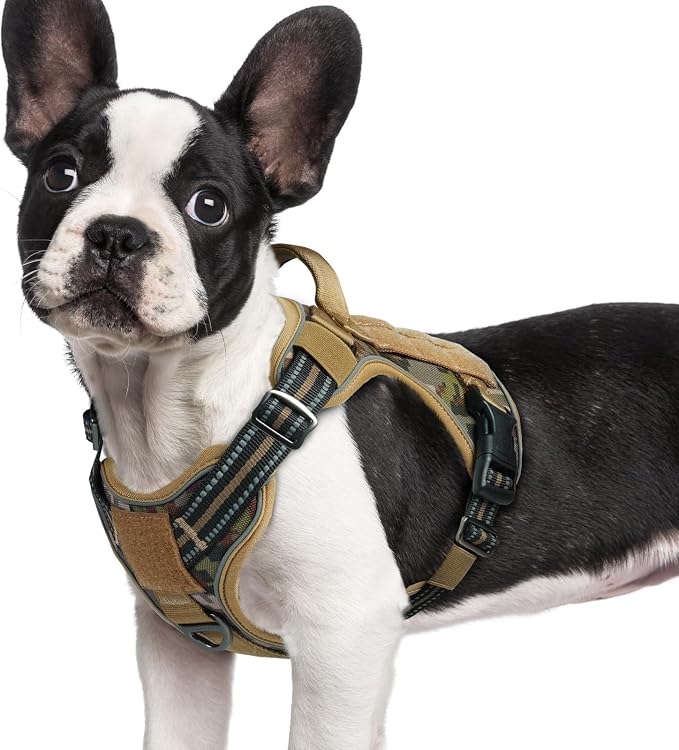 rabbitgoo Tactical Dog Harness for Small Dogs, No Pull Service Pet Vest | Military Molle System & Easy Control Handle, Adjustable and Reflective for Walking and Training, Desert Camo, Small