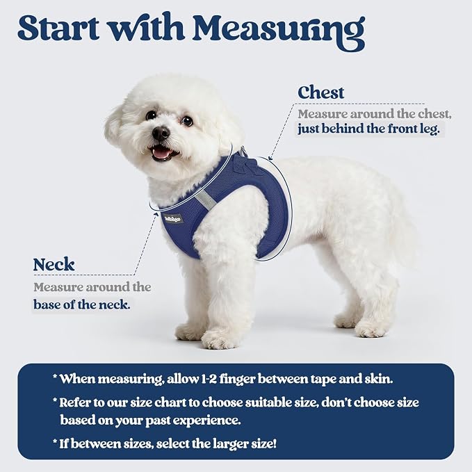 rabbitgoo Dog Harness Small Sized and Leash Set, Step-in Puppy Pet Vest | Light, Soft, Breathable Air Mesh, Easy on and Remove with Hook & Loop, Secure Reflective for Walking, Navy Blue M