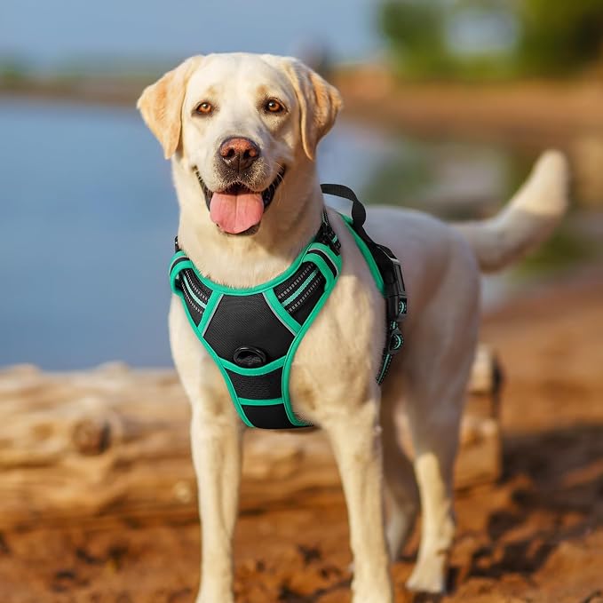 rabbitgoo Dog Harness, No Pull for Small Dogs with 2 Leash Clips, Pet Vest | No Choke with Handle, Adjustable Soft Padded, Reflective, Easy Control for Walking, Black & Turquoise, Small