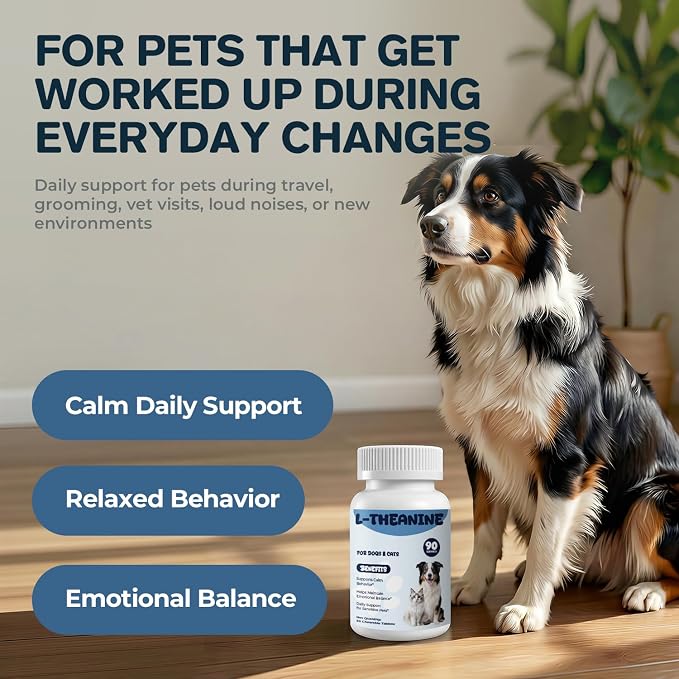 L-Theanine Supplement for Dogs & Cats, Supports Calm Behavior