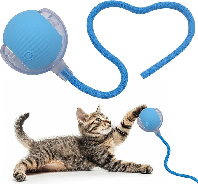 Interactive Cat Dog Toy Ball with LED Light, Automatic Rolling(Blue) | String Tail and LED Light Design, Motion Activated, Suitable for Interactive Indoor Pet Play and Exercise