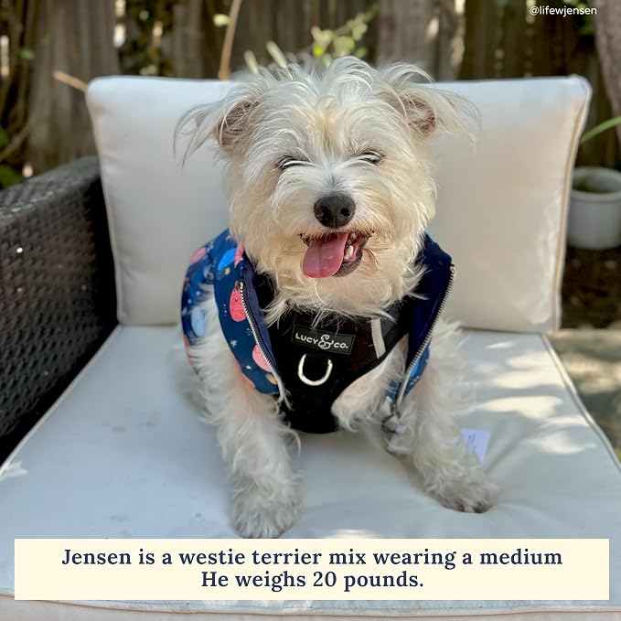 Lucy & Co. The Midnight No-Pull Dog Harness - Size Large - Vest to Stop Pulling & Walk Easy - Comfortable Leash Training Product w/Adjustable Chest & Neck Straps