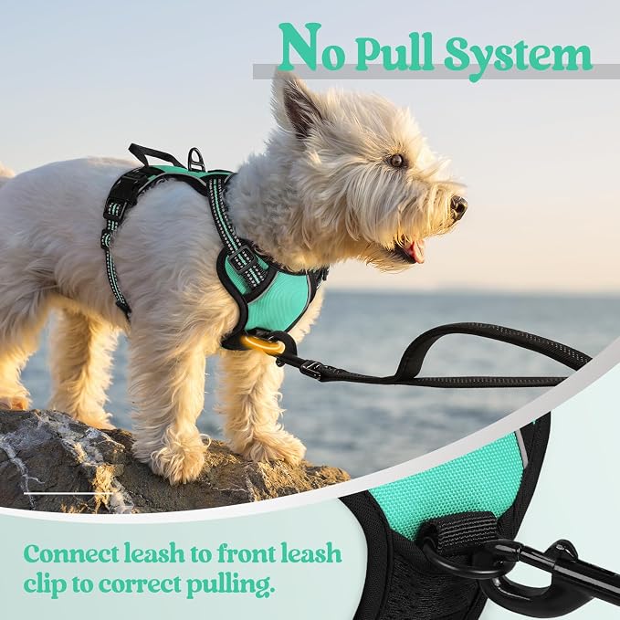 rabbitgoo Dog Harness, No Pull for Small Dogs with 2 Leash Clips, Pet Vest | No Choke with Handle, Adjustable Soft Padded, Reflective, Easy Control for Walking, Turquoise, X-Small