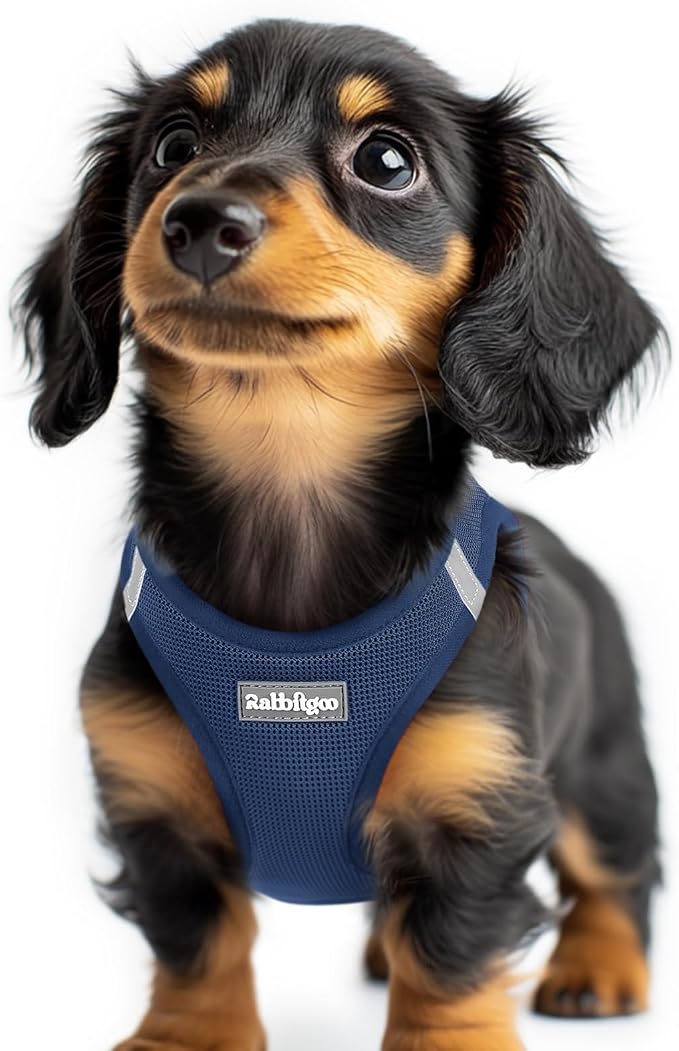 rabbitgoo Step-in Small Dog Harness, Puppy Vest for Small Sized Pet | Easy Put on and off, Lightweight, Soft, Breathable Quick-Dry Air Mesh for Comfortable Secure Walking, Navy Blue XXS