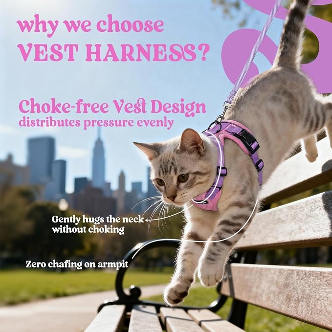 rabbitgoo Cat Harness and Leash Set, Escape Proof Vest, Pink & Light Purple | Soft Breathable Mesh, Easy Adjustable Fit, Snap Buckles, Sturdy Clip, Reflective Strips, for Average Cats Walks, S