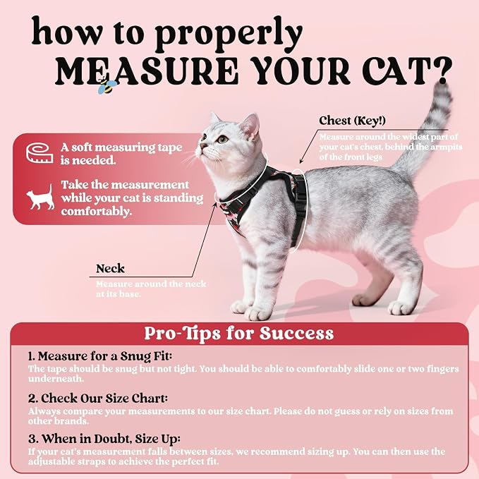 rabbitgoo Cat Harness and Leash Set, Escape Proof Vest, Berry Pounce | Soft Breathable Mesh, Easy Adjustable Fit, Snap Buckles, Sturdy Clip, Reflective Strips, for Average Cats Walks, S