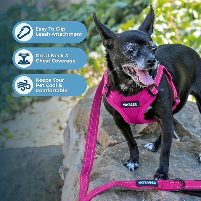 Best Pet Supplies Voyager Adjustable Step-in Flex Breathable Mesh Dog Harness for Small Medium Large Dogs Leash Set (Fuchsia), S