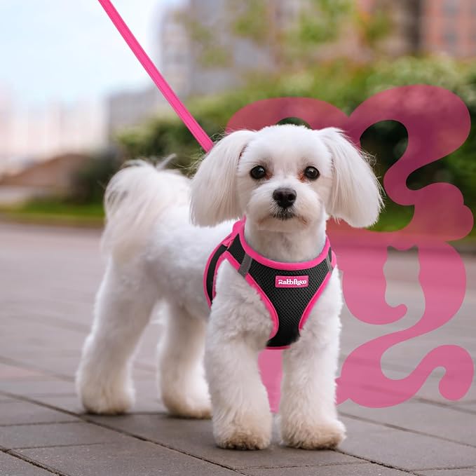 rabbitgoo Dog Harness Small Sized and Leash Set, Step in Soft Vest | Breathable Mesh, Easy Wear with Hook & Loop, Light and Reflective for Walking, Multi-colored, Black & Rose Red, M