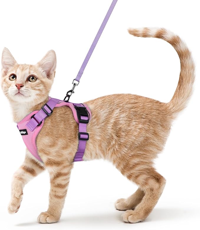rabbitgoo Cat Harness and Leash Set, Escape Proof Vest, Pink & Light Purple | Soft Breathable Mesh, Easy Adjustable Fit, Snap Buckles, Sturdy Clip, Reflective Strips, for Average Cats Walks, S