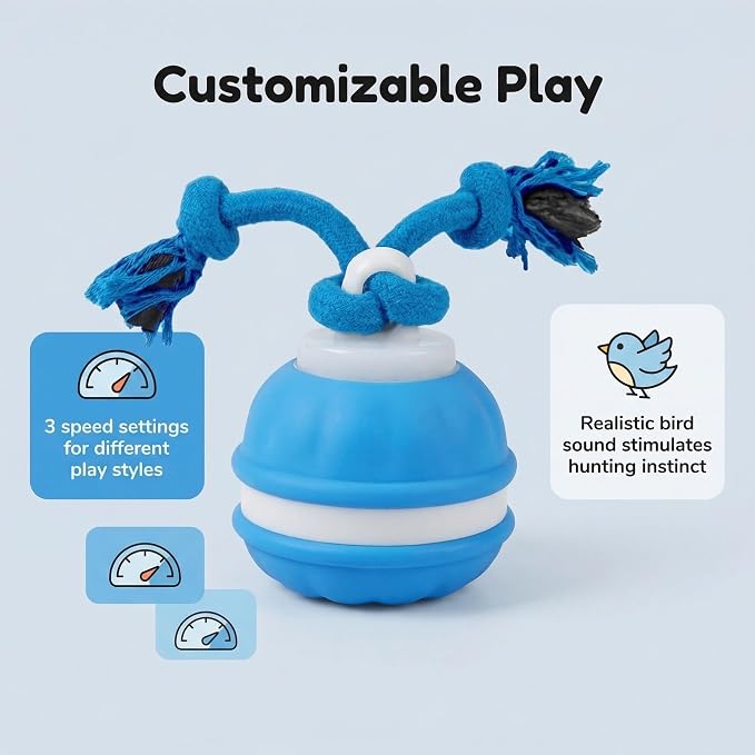 Winb Interactive LED Dog Ball （4 inch）- USB Rechargeable Motion-Activated Rolling Toy for Small to Large Dogs, Dogs Ball Play and Wicked Fun, Squeaky Sound & Stimulation, Blue