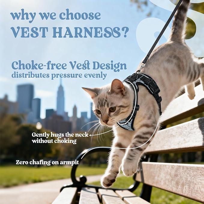 rabbitgoo Cat Harness and Leash Set, Escape Proof Vest, Doodle Gray | Soft Breathable Mesh, Easy Adjustable Fit, Snap Buckles, Sturdy Clip, Reflective Strips, for Medium to Large Cats Walks, M
