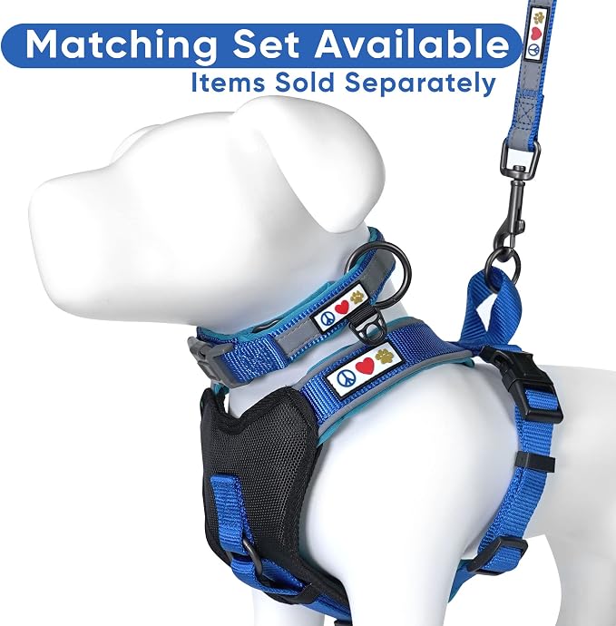 Pawtitas Reflective Padded Dog Harness for XX-Small Dogs – Adjustable Puppy Step-in Vest | Fits Chest 12–15 in | No Pull Training Harness | XXS | Blue