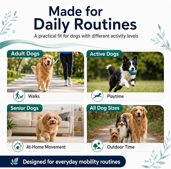 Pawprovet Mobility Hip and Joint, Soft Chews for Dogs with Glucosamine, MSM, Chondroitin, Boswellia and Green-Lipped Mussel, Daily Dog Supplement, 60 Count