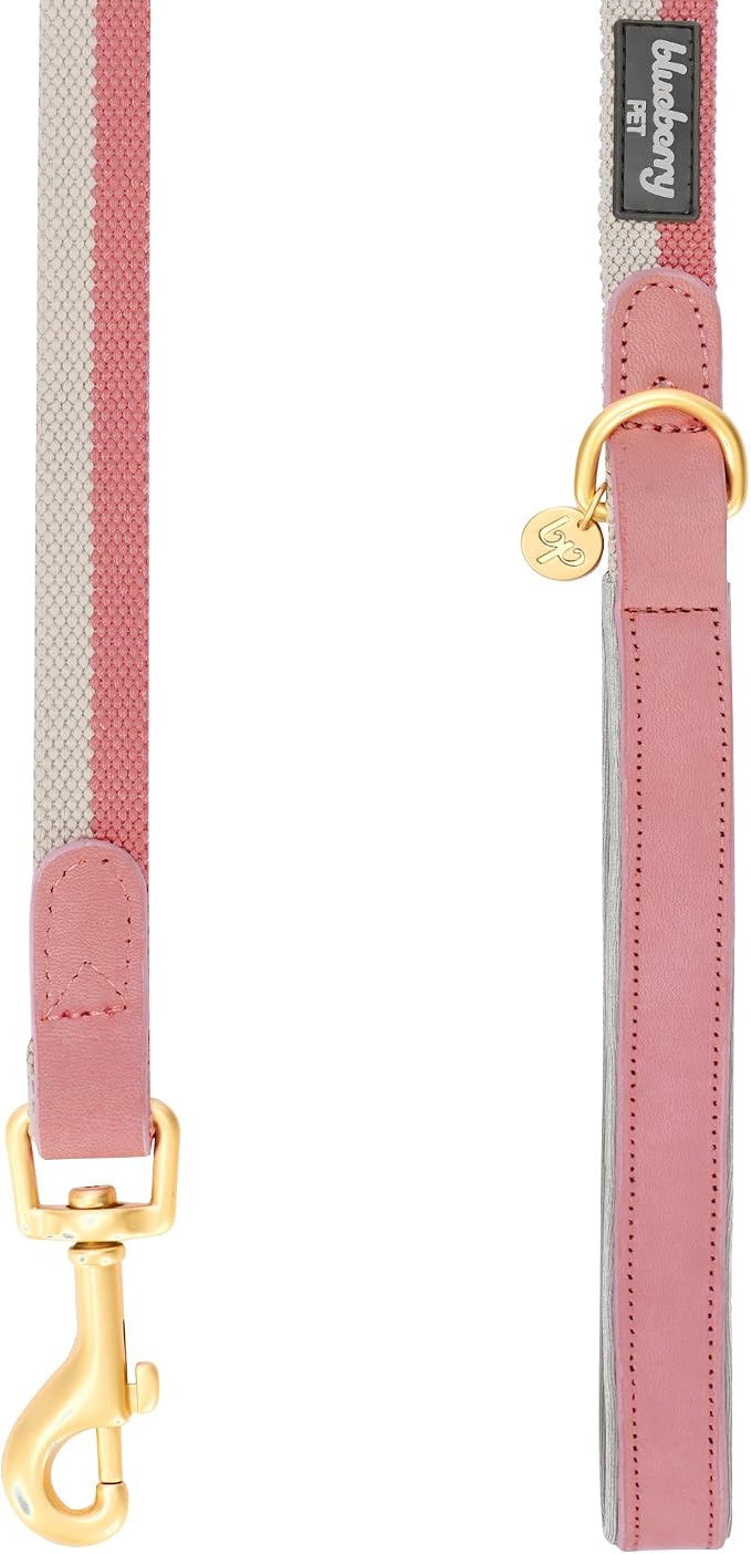 Blueberry Pet Polyester Fabric Webbing and Soft Genuine Leather Dog Leash with Soft & Comfortable Handle, 6 ft x 3/4", Pink and Grey, Leashes for Dogs