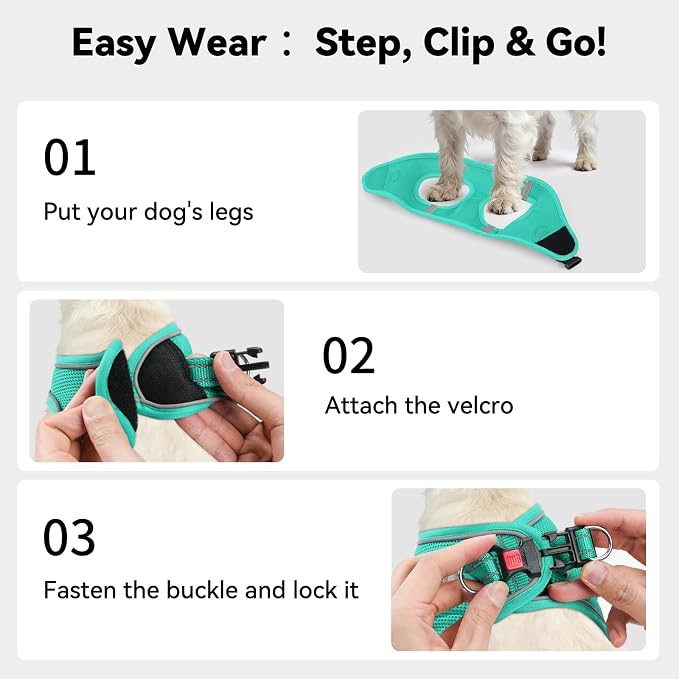 Joytale Step-in Dog Harness, Soft Breathable Mesh, Teal XXXS | Adjustable Fit for Small Dogs, Easy Step-in with Secure Fastener, Even Chest Pressure, Reflective For Night Safety, Washable