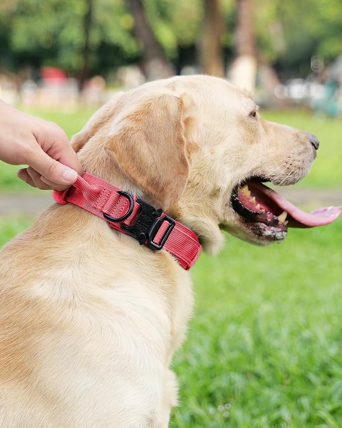 Joytale Tactical Dog Collar(17"-21") and Dog Leash Set, Shock Absorbing Bungee Dog Leash and Adjustable Strong Dog Collar with Handle for Large Dogs(Hotpink, L)