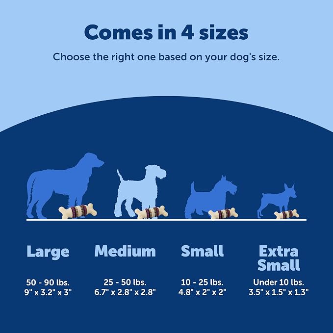 PetSafe Busy Buddy Bristle Bone Dog Treat Holding Chew Toy, Medium | Toothbrush-In-A-Toy Design Helps Clean Teeth While Dog Chews, Holds Treat Rings, Durable, Interactive Play, for Dogs 25-50 Lb