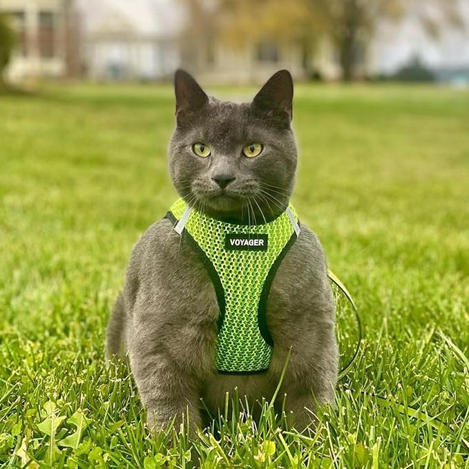 Best Pet Supplies Voyager Step-in Air All Weather Mesh Harness and Reflective Dog 5 ft Leash Combo with Neoprene Handle, for Small, Medium and Large Breed Puppies - Lime Green (2-Tone), XS