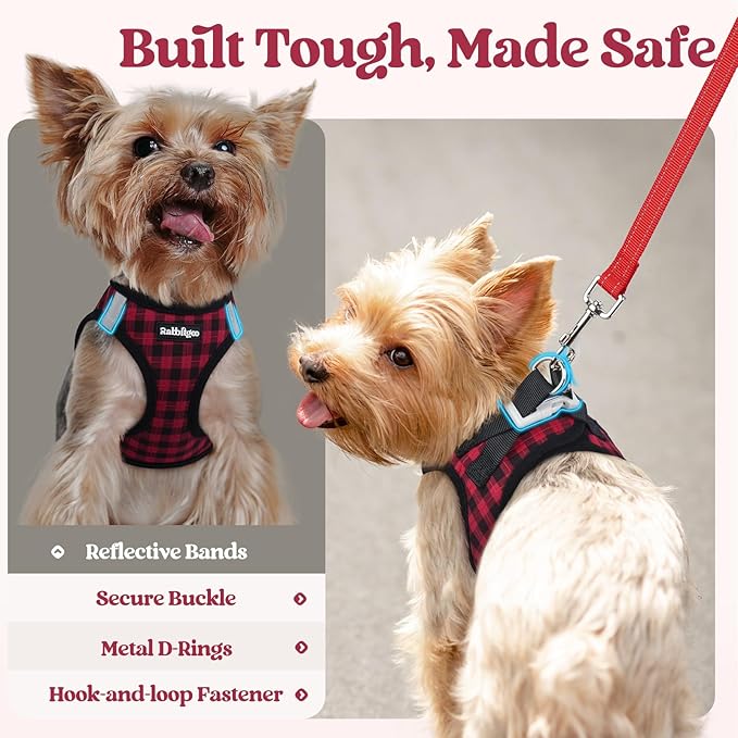 rabbitgoo Dog Harness Small Sized and Leash Set, Step-in Puppy Pet Vest | Light, Soft, Breathable Air Mesh, Easy on and Remove with Hook & Loop, Secure Reflective for Walking, Red Check S