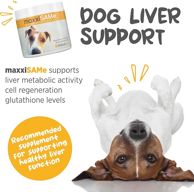maxxipaws maxxiSAMe SAM-e for Dogs, Liver & Cognitive Support Powder 5.3 oz