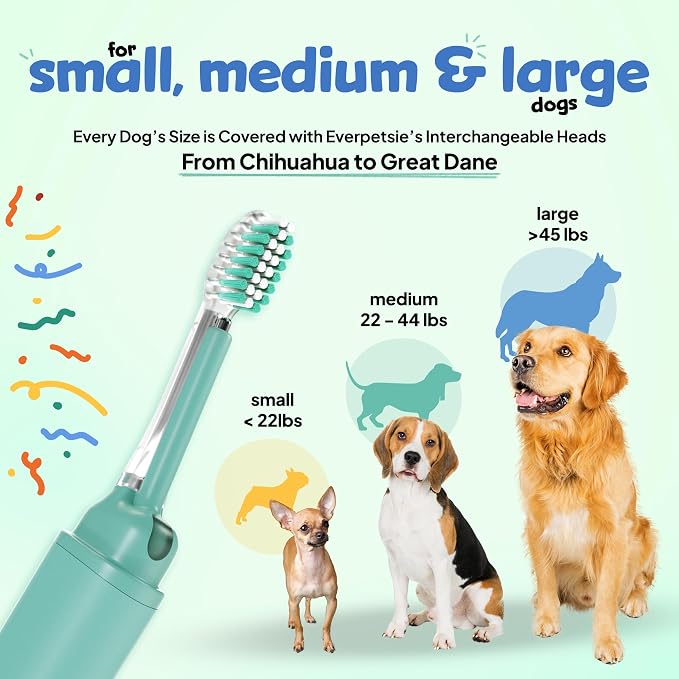 Electric Dog Toothbrush with Innovative Electrolytic Technology - Silent and Gentle Electric Toothbrush for Dogs, Effortless Dog Plaque and Tartar Remover Without a Toothpaste (Large)