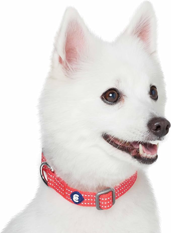 Blueberry Pet Essentials Reflective Better Basics Matching Dog Collar and Leash Set in Fiery Red, Adjustable Collar with 5 ft Leash for Small Dogs