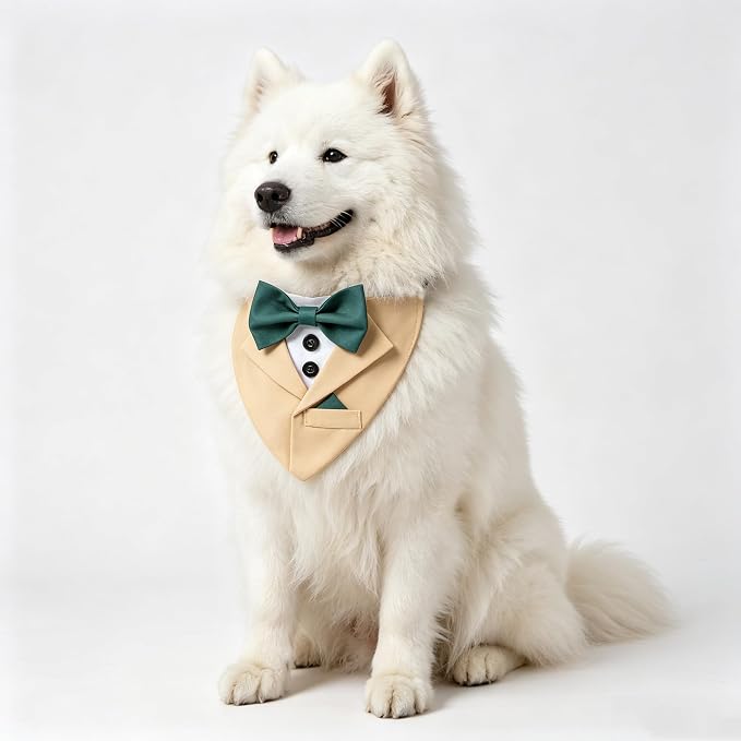 Yellow Dog Bandana with Green Bowtie, Large, Yellow