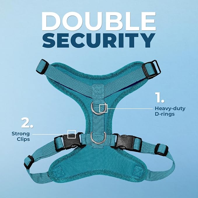 Best Pet Supplies Voyager Step-in Lock Pet Harness w Reflective Pet Leash Combo Set with Neoprene Handle 5ft - Supports Small, Medium and Large Breed Puppies/Cats - Turquoise Set, L