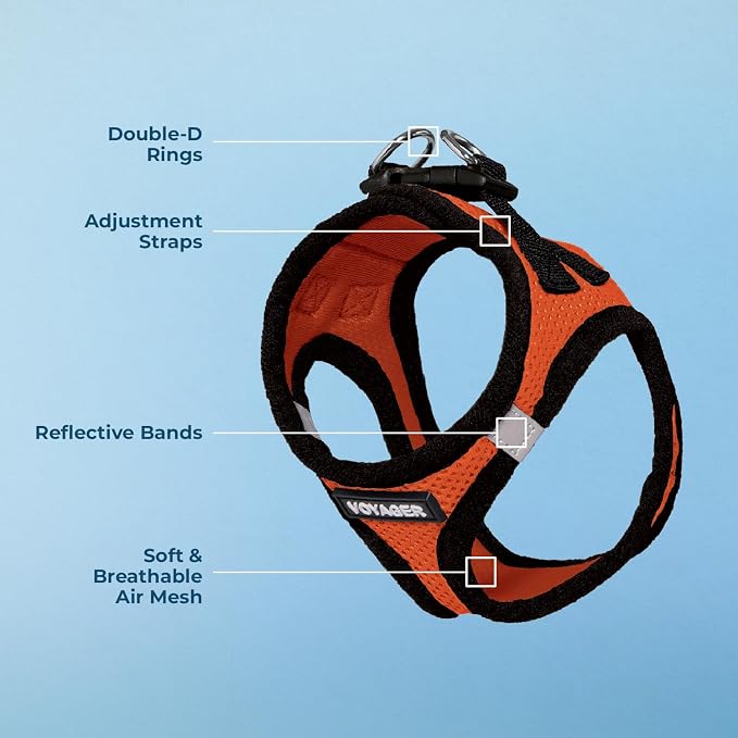 Best Pet Supplies Voyager Step-in Air Dog Harness - All Weather Mesh Step in Vest Harness for Small and Medium Dogs by - Orange Base, XXXS