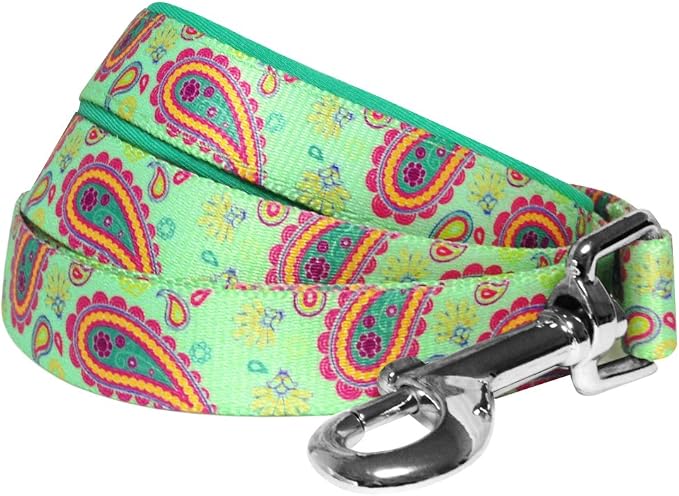 Blueberry Pet 5 Colors Paisley Flower Print Dog Leash with Soft & Comfortable Handle, 5 ft x 3/4", Emerald Green, Medium, Leashes for Dogs