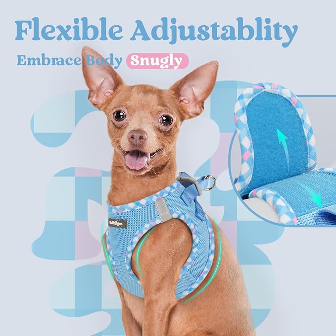 rabbitgoo Step-in Small Dog Harness, Puppy Vest for Small Sized Pet | Easy Put on and off, Lightweight, Soft, Breathable Quick-Dry Air Mesh for Comfortable Secure Walking, Blue & Plaid Trim XXS
