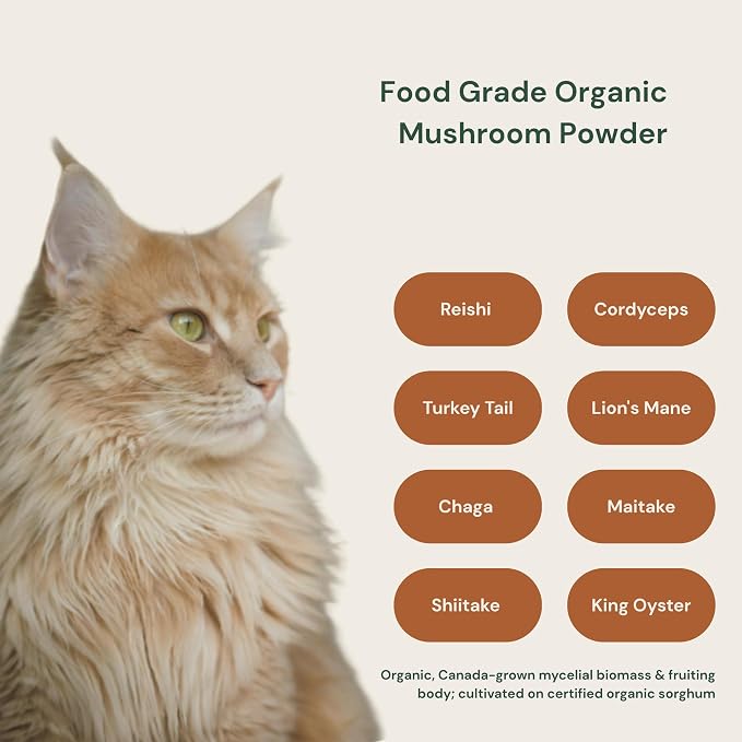 Animal Biome Organic Mushroom Powder for Dogs & Cats, Easy Food Topper 60g