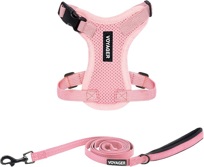 Best Pet Supplies Voyager Step-in Lock Pet Harness w Reflective Pet Leash Combo Set with Neoprene Handle 5ft - Supports Small, Medium and Large Breed Puppies/Cats - Pink Set, XXXS