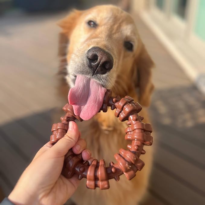 Nylabone Textured Ring Power Chew Toy for X-Large Dogs 50+ lbs | Durable dog toys for aggressive chewers, strong dog chew bones, flavor medley, textures help clean teeth