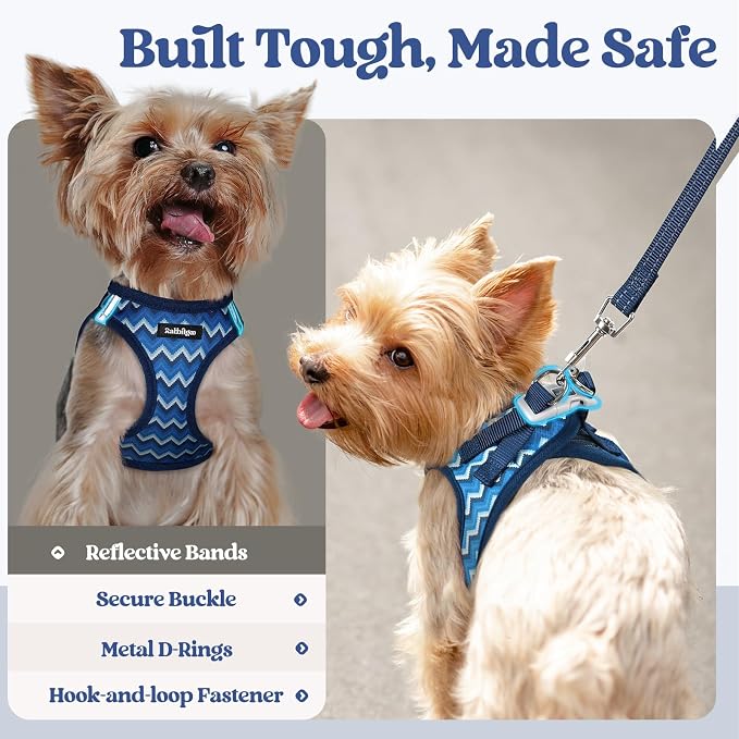 rabbitgoo Dog Harness Small Sized and Leash Set, Step-in Puppy Pet Vest | Light, Soft, Breathable Air Mesh, Easy on and Remove with Hook & Loop, Secure Reflective for Walking, Blue Zigzag S