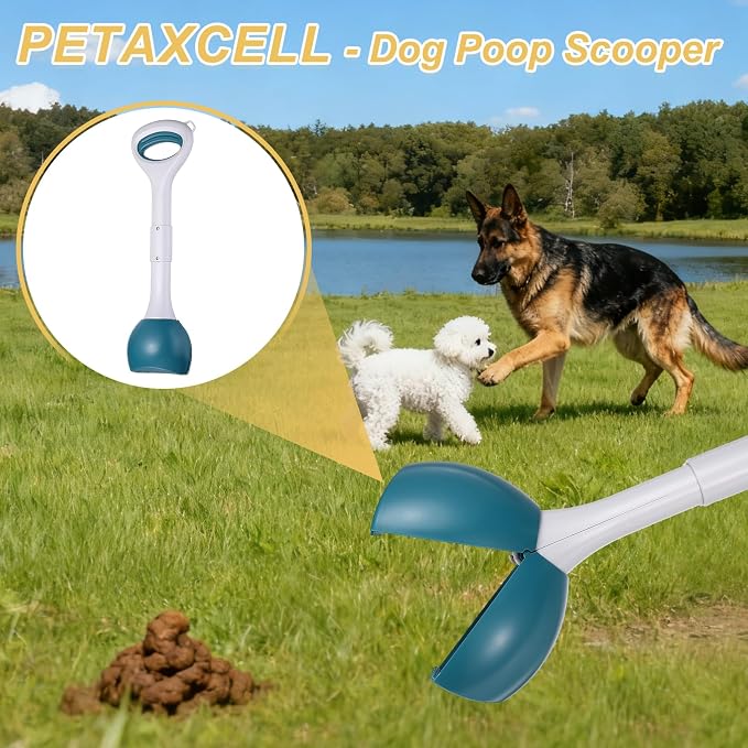 Poop Scooper, 27.6" Long Handle No Touch Dog Poop Scooper Grabber Foldable Spring Pick Up Tool Shovel, (Green), Intended for Dogs Waste in Lawns/Grass/Dirt/Gravel