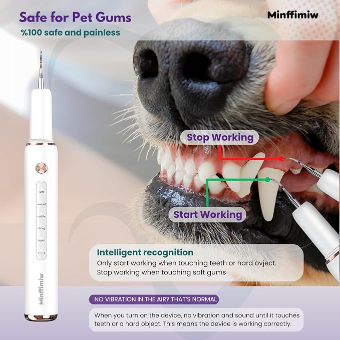 Dog Plaque Remover for Teeth - Electric Tartar Remover with LED Light, 5 Adjustable Modes, Dog Teeth Cleaning Kit, Safe Pet Tooth Cleaner, Dental Care Tool for Dogs