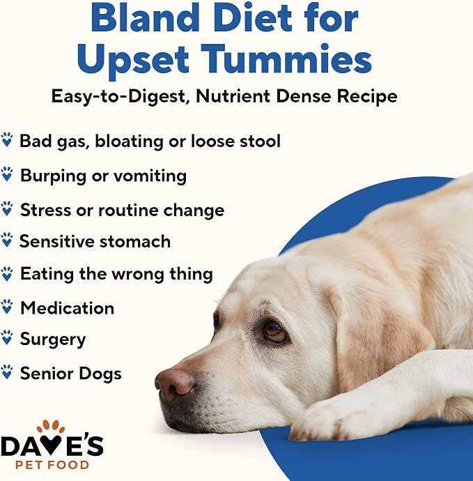 Dave's Pet Food Bland Diet Dog Food, Chicken & Rice, 13.2 oz, 12 pk