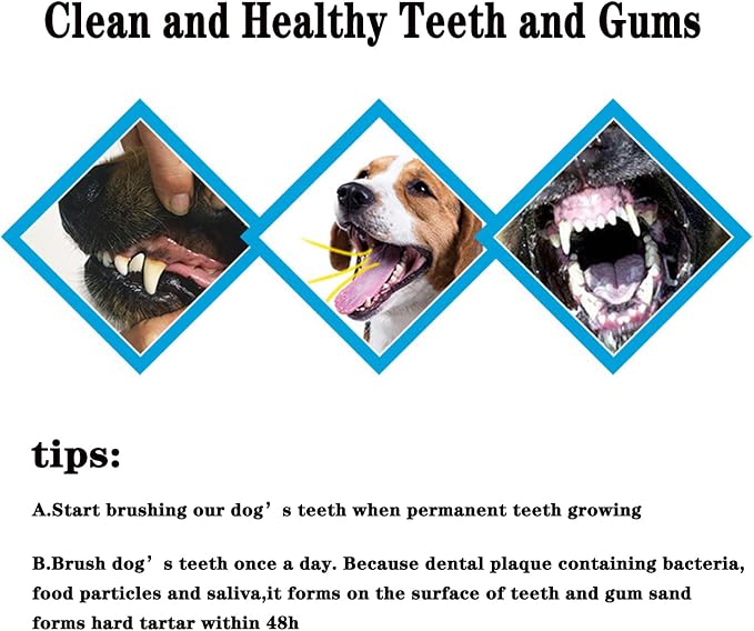 YMCCOOL Dog Toothbrush Set of 8 – Dual Headed Dental Hygiene Brushes for Small to Large Dogs, Easy Teeth Cleaning & Dental Care,Dog Tooth Brushes for Small to Large Dogs, Cats, and Most Pets